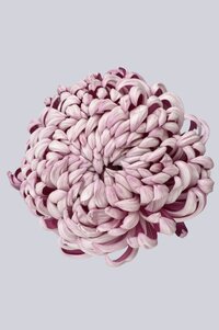 High resolution image 1