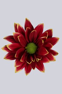 High resolution image 1