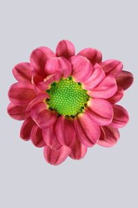 High resolution image 1