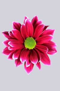 High resolution image 1