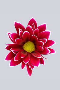 High resolution image 1