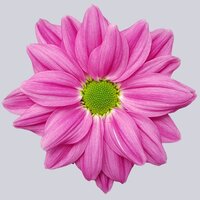 High resolution image 1
